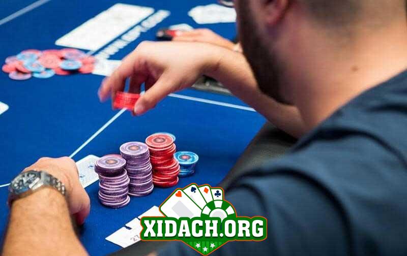 Tìm hiểu về Donk bet Poker - Lý do người chơi nên tránh sử dụng