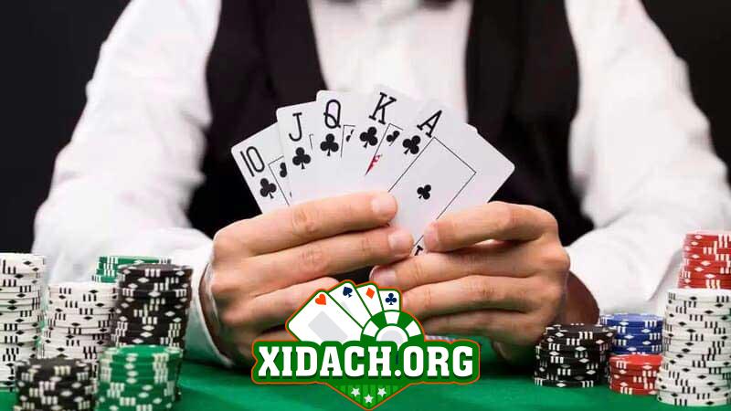 Tìm hiểu về Royal Flush và các giả định xác suất trong Poker